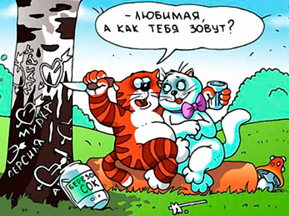 Источник изображения : Яндекс картинка. 