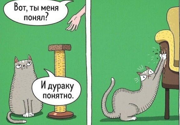 Источник изображения : Яндекс картинка. 