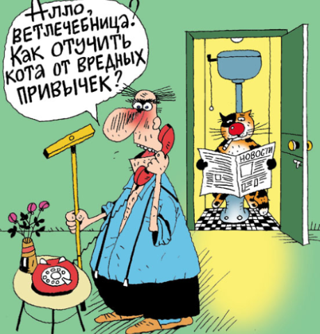 Источник изображения : Яндекс картинка. 