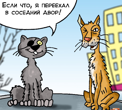Источник изображения Яндекс картинка.