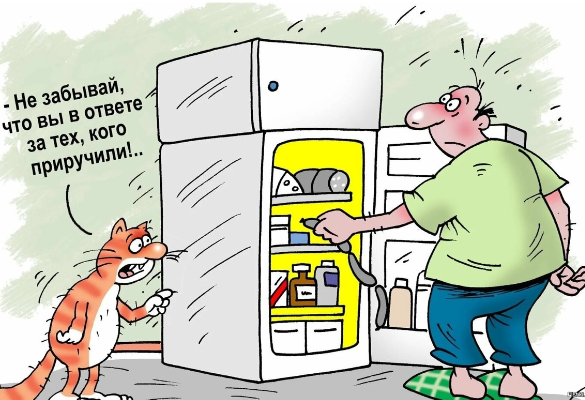 Источник изображения : Яндекс картинка. 