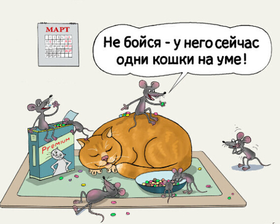 Источник изображения : Яндекс картинка. 