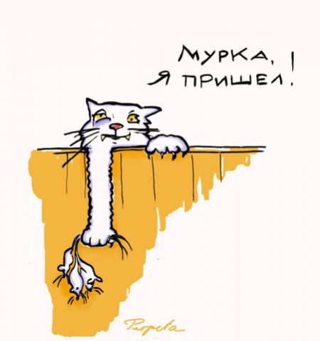 Источник изображения : Яндекс картинка. 