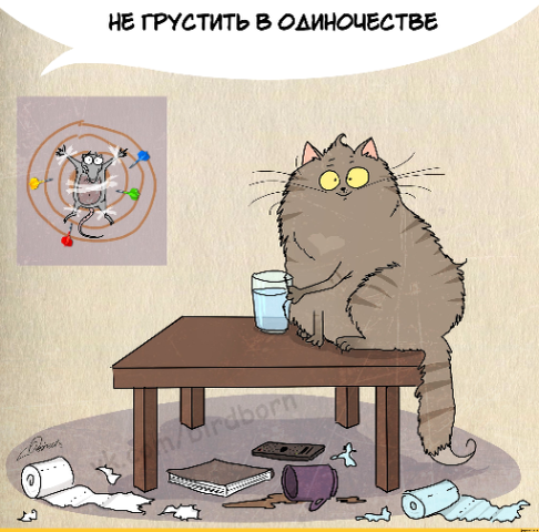 Источник изображения : Яндекс картинка. 