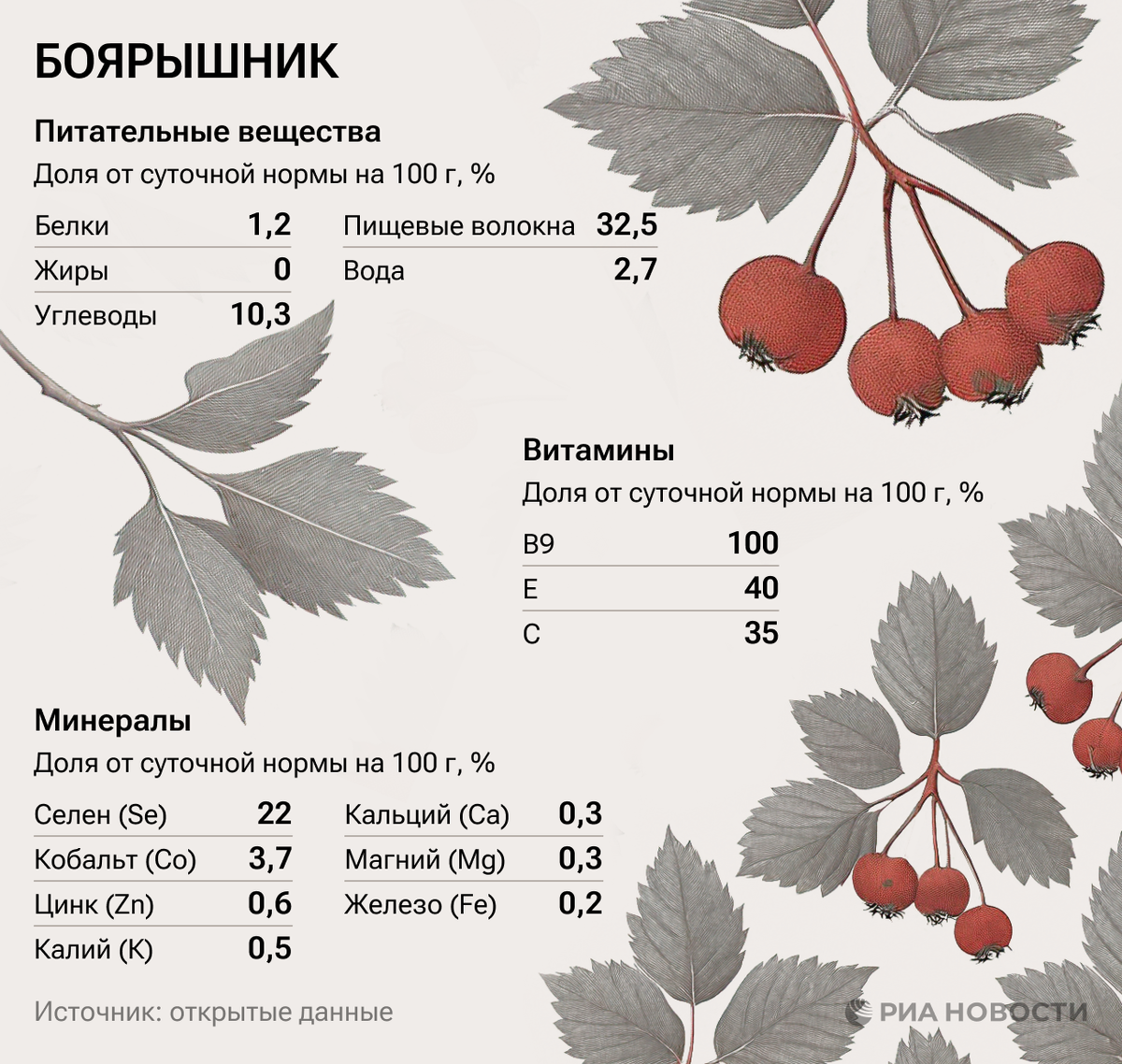 Инфографика РИА Новости