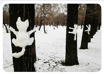 Фото из сети
