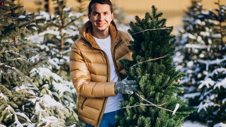 Источник: Freepik