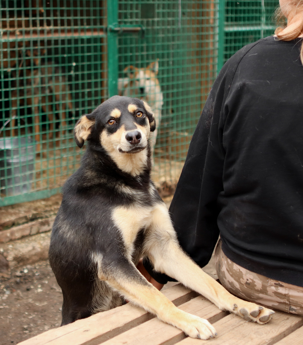 Три года жду...