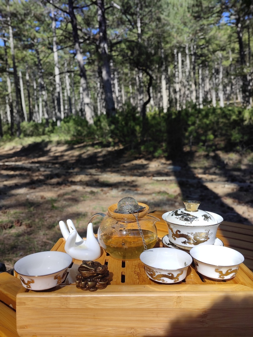 Чайный тренер вещает: " Сегодня говорим о чае, как о ботаническом виде, как о культуре, как о феномене"