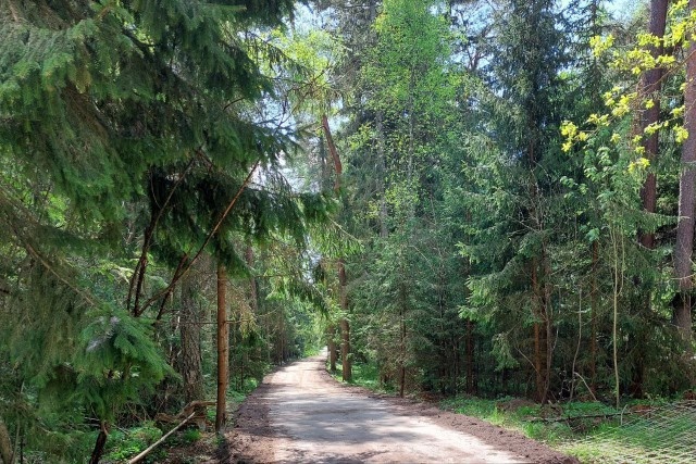   Фото из архива Калининград.Ru