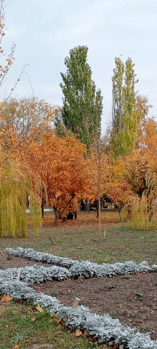 Вот такую яркую осень я люблю🫶
