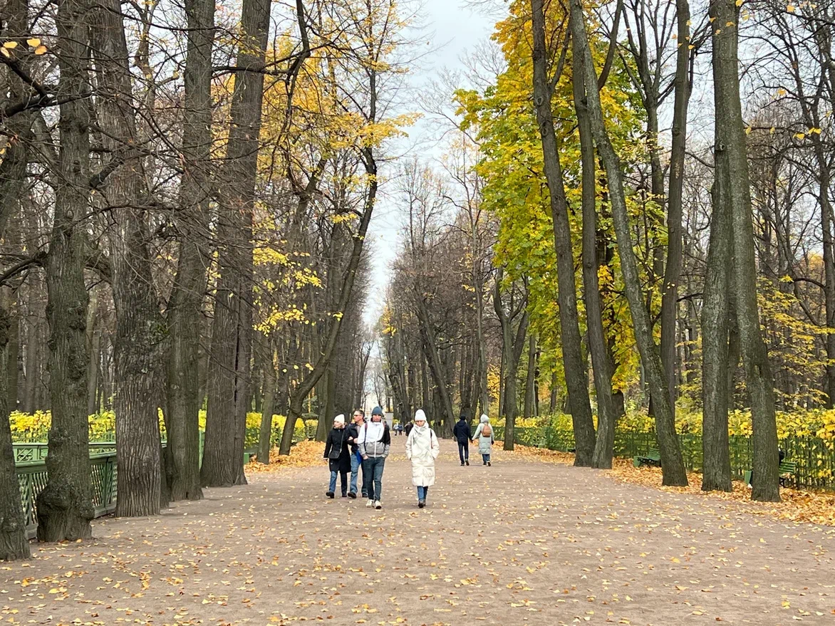 Летний сад, Санкт-Петербург. Фото автора