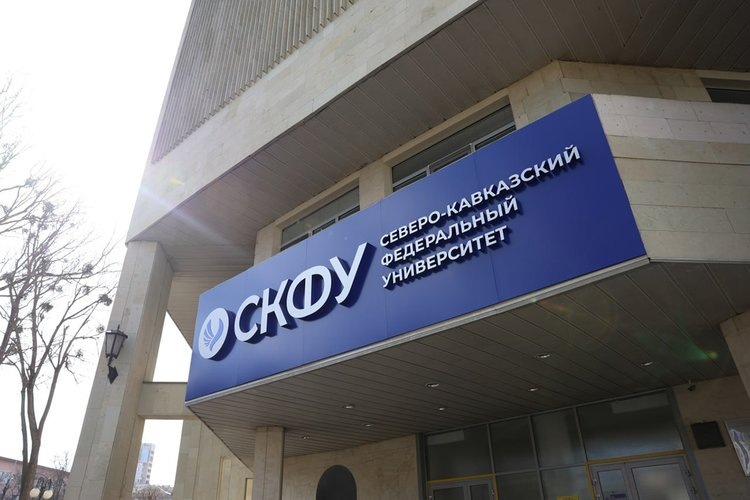    Хлеб с чайным грибом для диабетиков создали исследователи СКФУ