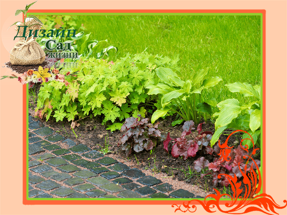 Бордюр на солнце