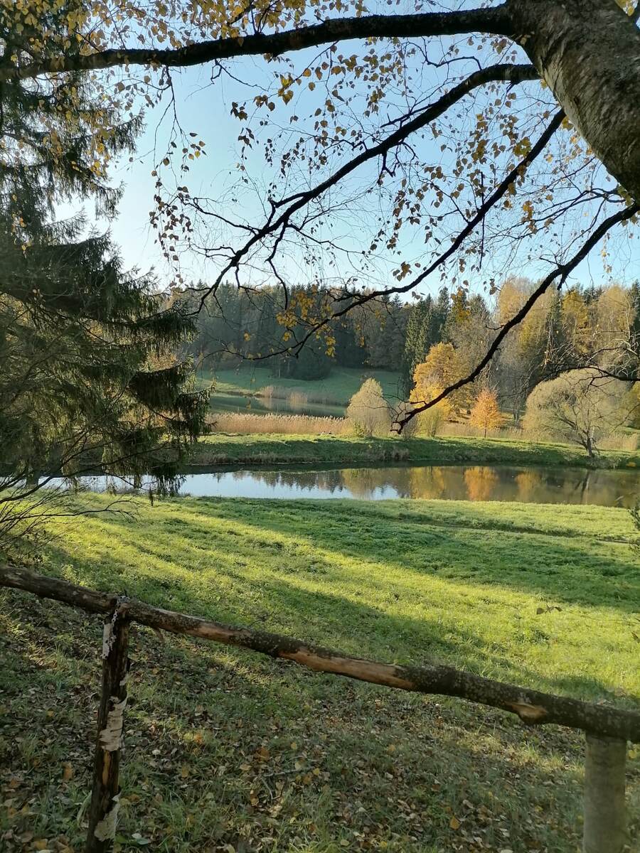фото канала Дерзкая графоманка
