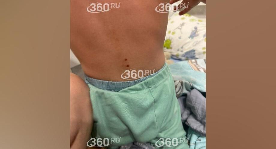    Телеканал «360»