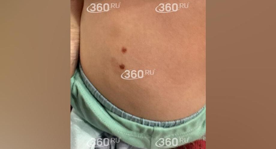     Телеканал «360»