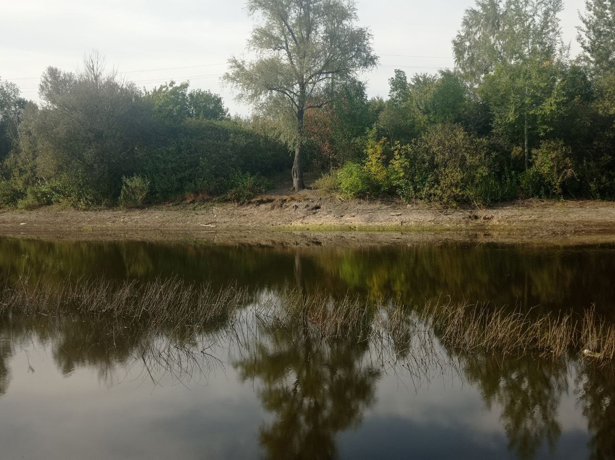 Фотография автора