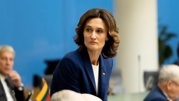    © Photo : Lietuvos Respublikos Seimas / Viktoriia Chorna