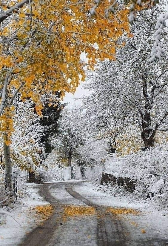 Ноябрь по-своему прекрасен… Задумчивый, неторопливый, сдержанный на яркие краски.
Догорают последние листья, небо чаще серого цвета…
По утрам, в округе, бывает сизый туман.
Птичьего пения давно не слышно. Природа тихо засыпает до весны.