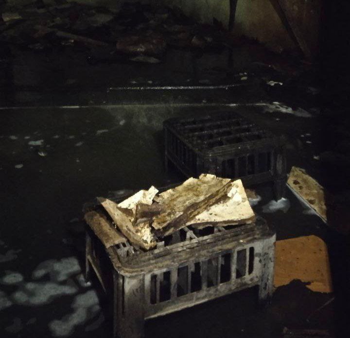 Листайте вправо, чтобы увидеть больше изображений