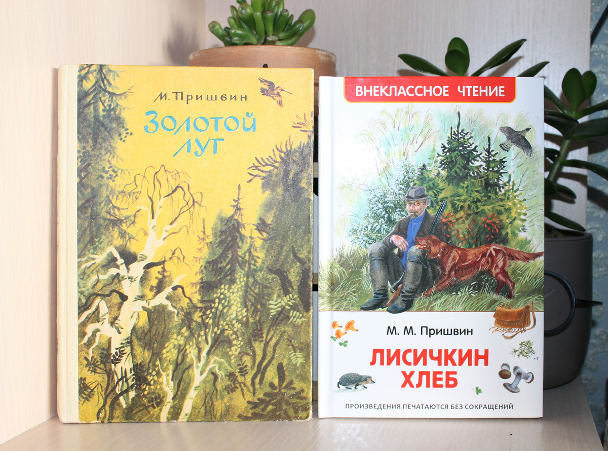 Книги из личной библиотеки. Фото автора статьи.