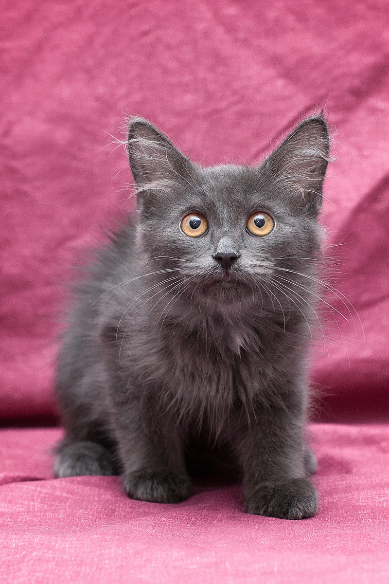 А вот и Веня)) в детстве