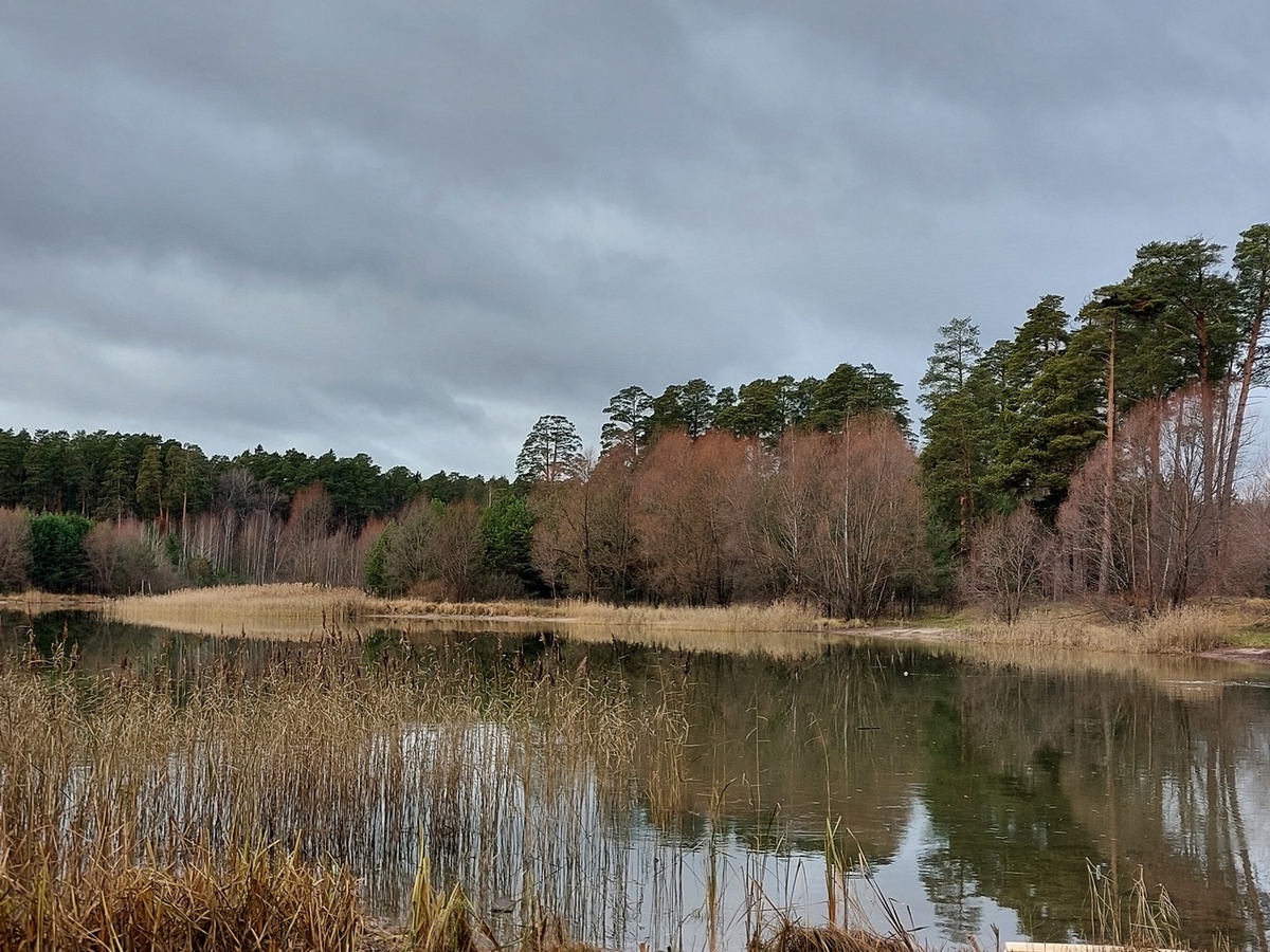 Вид на озеро Лебяжье, ООПТ Городской парк "Лебяжье", 10.11.2024, Казань