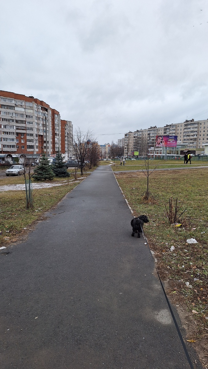 Сегодня гуляла с собакой, на рынок с утра сходили