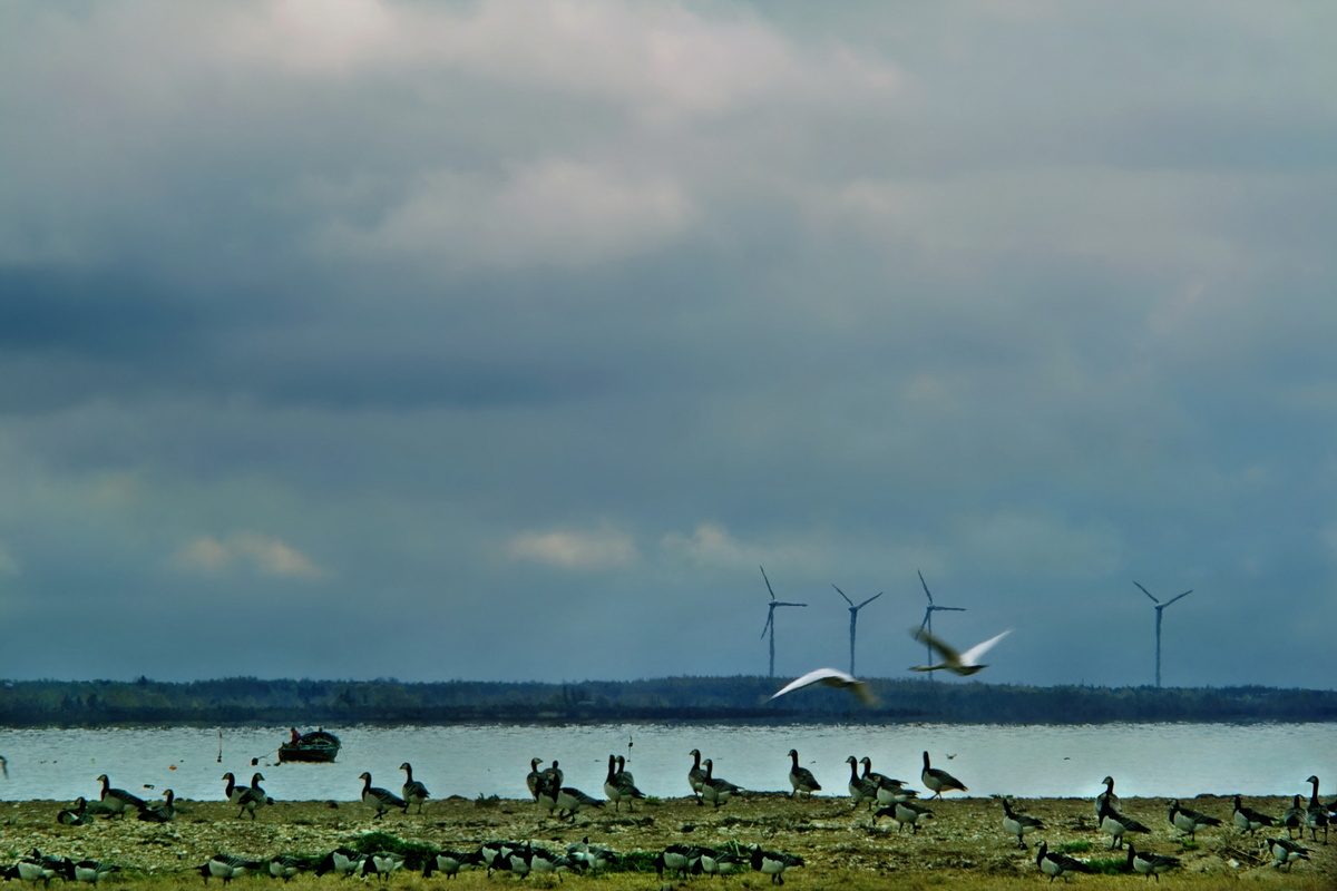 Фото: Kaasik Aleksander / GeoPhoto