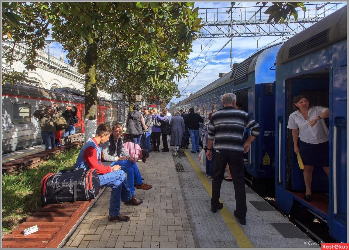 фото из интернета