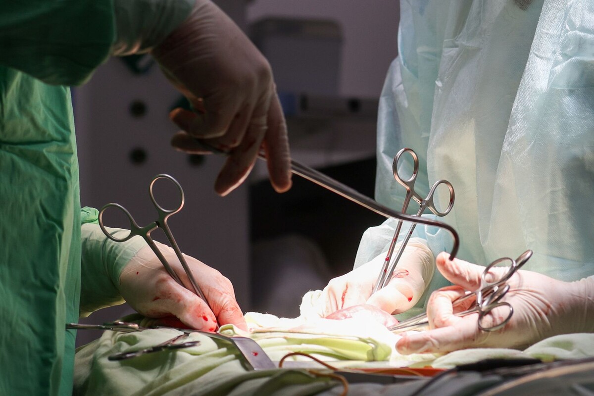     / Источник: © Belkin Alexey/Global Look Press