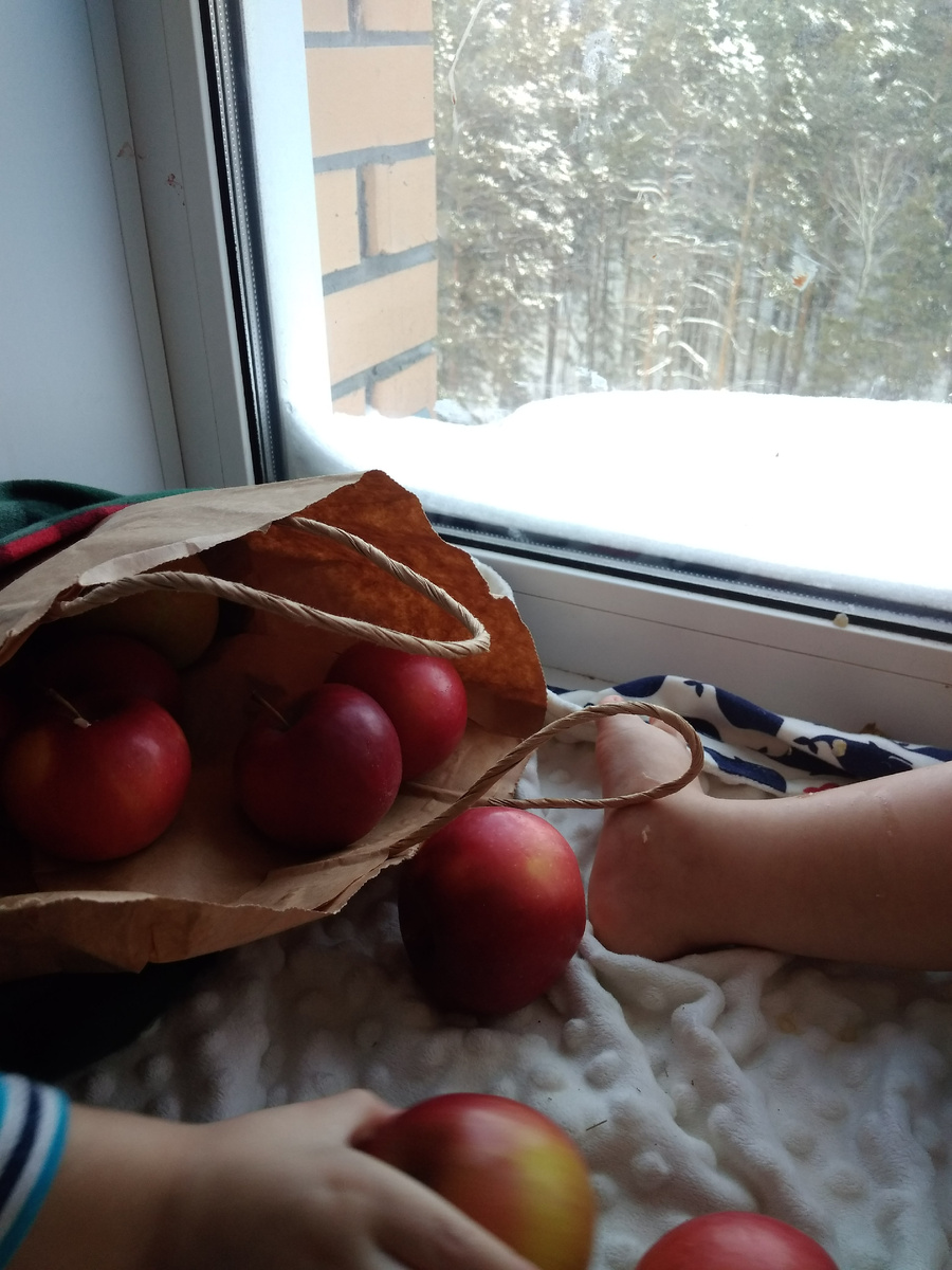 Сосны были в каждом окне. Лучший вид 