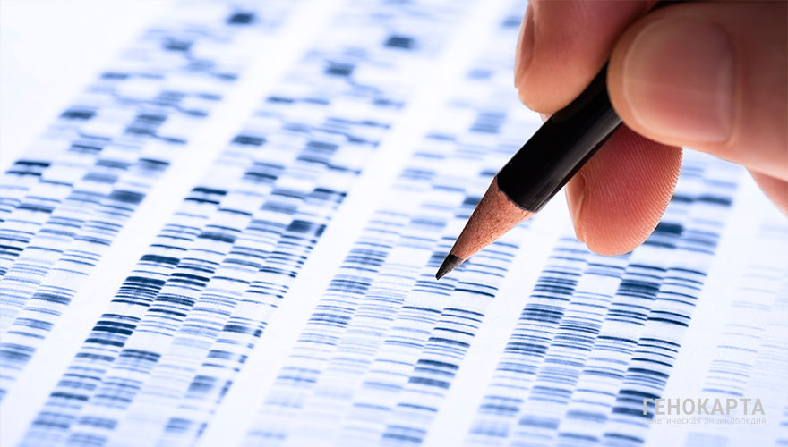 gopixa // shutterstock.com