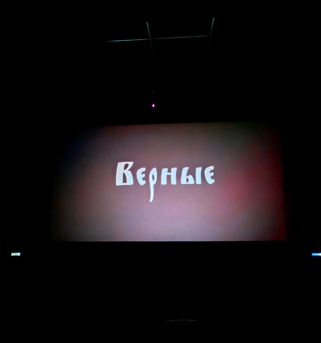 Все фото автора. 