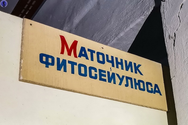 -21