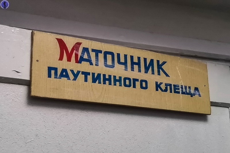 -28
