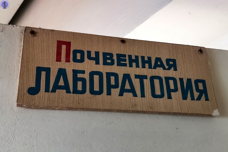 -43