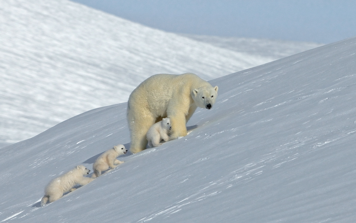 Фото: Сергей Горшков / GeoPhoto
