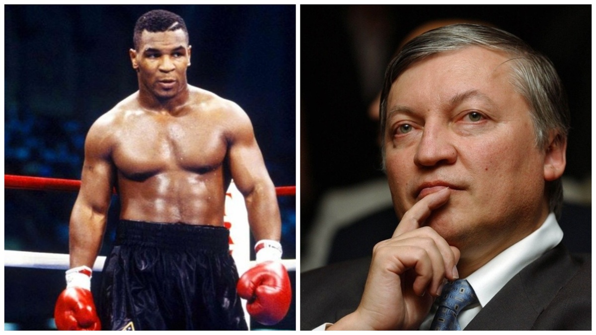 Фото взяты из открытых источников