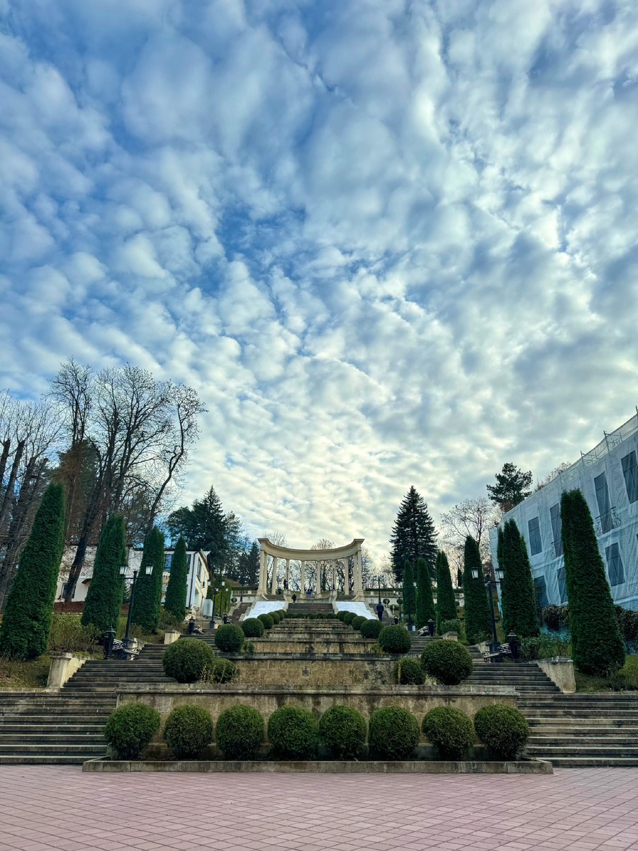 фото Сад в стиле Paradise @