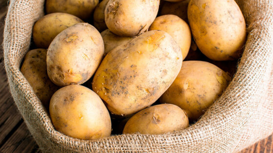    Патрушев попросил ведомства организовать импорт картофеля для удовлетворения растущего спроса Богдан Герцен