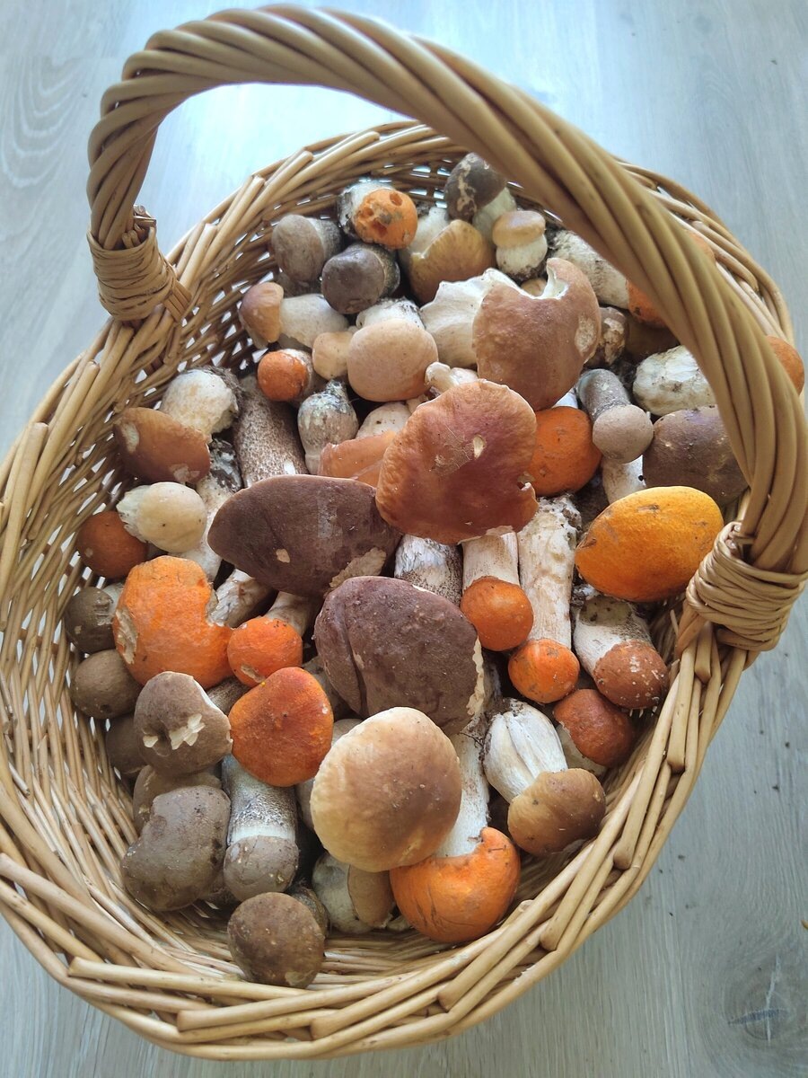 Фото Лилия Лилия, Калининградская область. На конкурс "Корзина 2023"