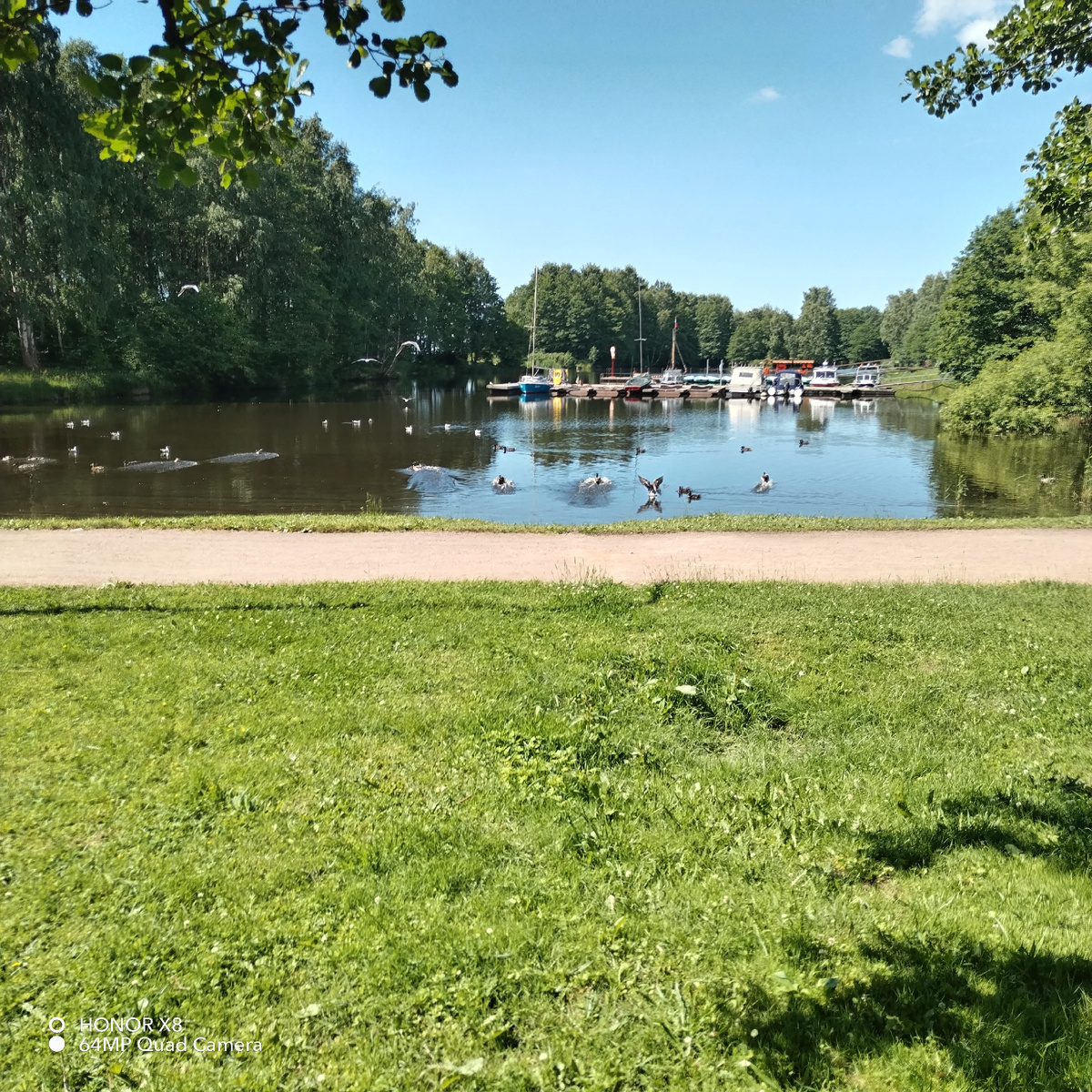 ЛЕТО 2024 ГОДА, из личных фото автора Лидии Шатиловой