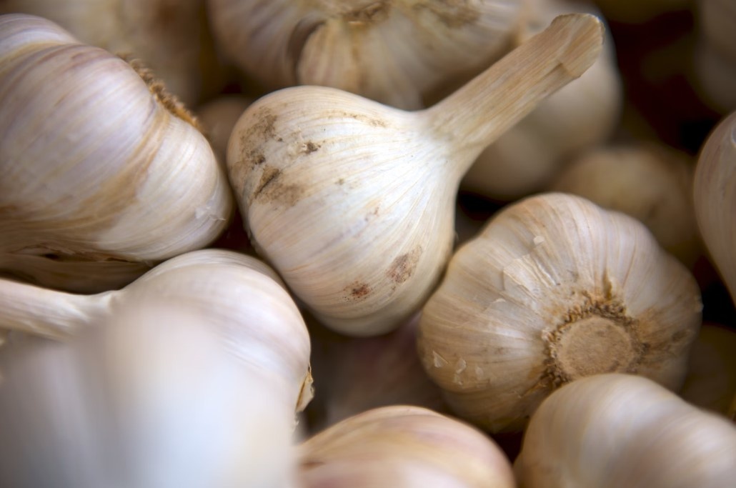    Фото: unsplash.com/@matthewpilachowski