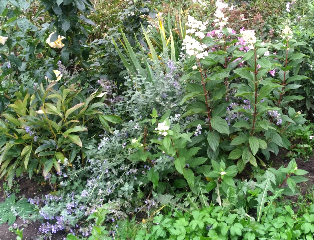 вот он валяется не земле