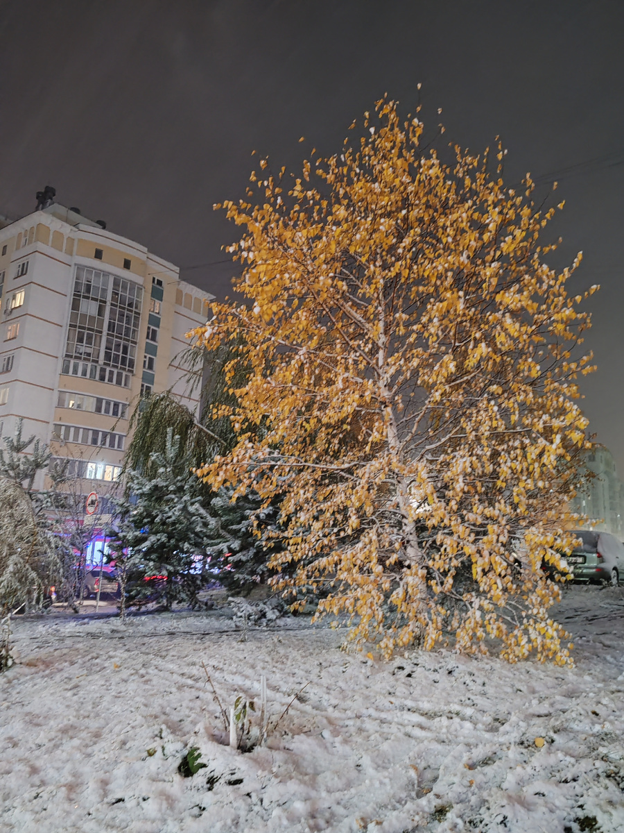 Фото автора канала.