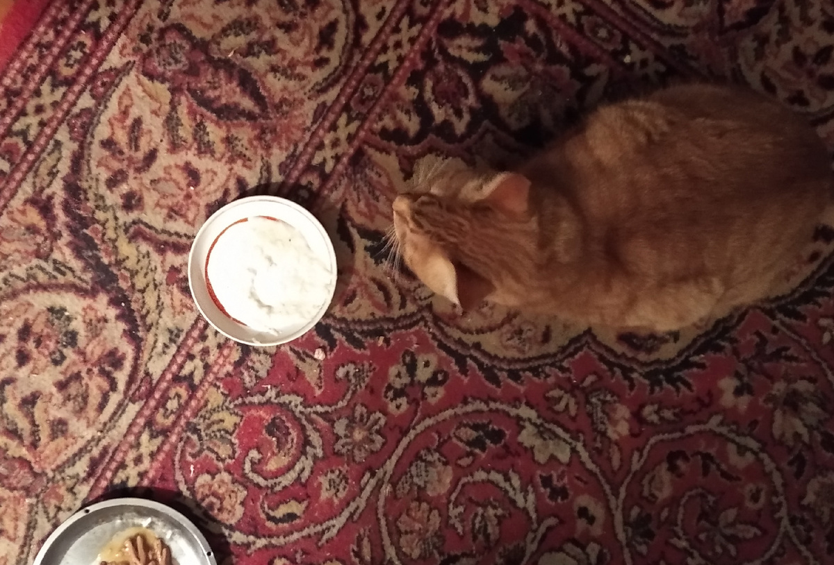 Личное фото.
