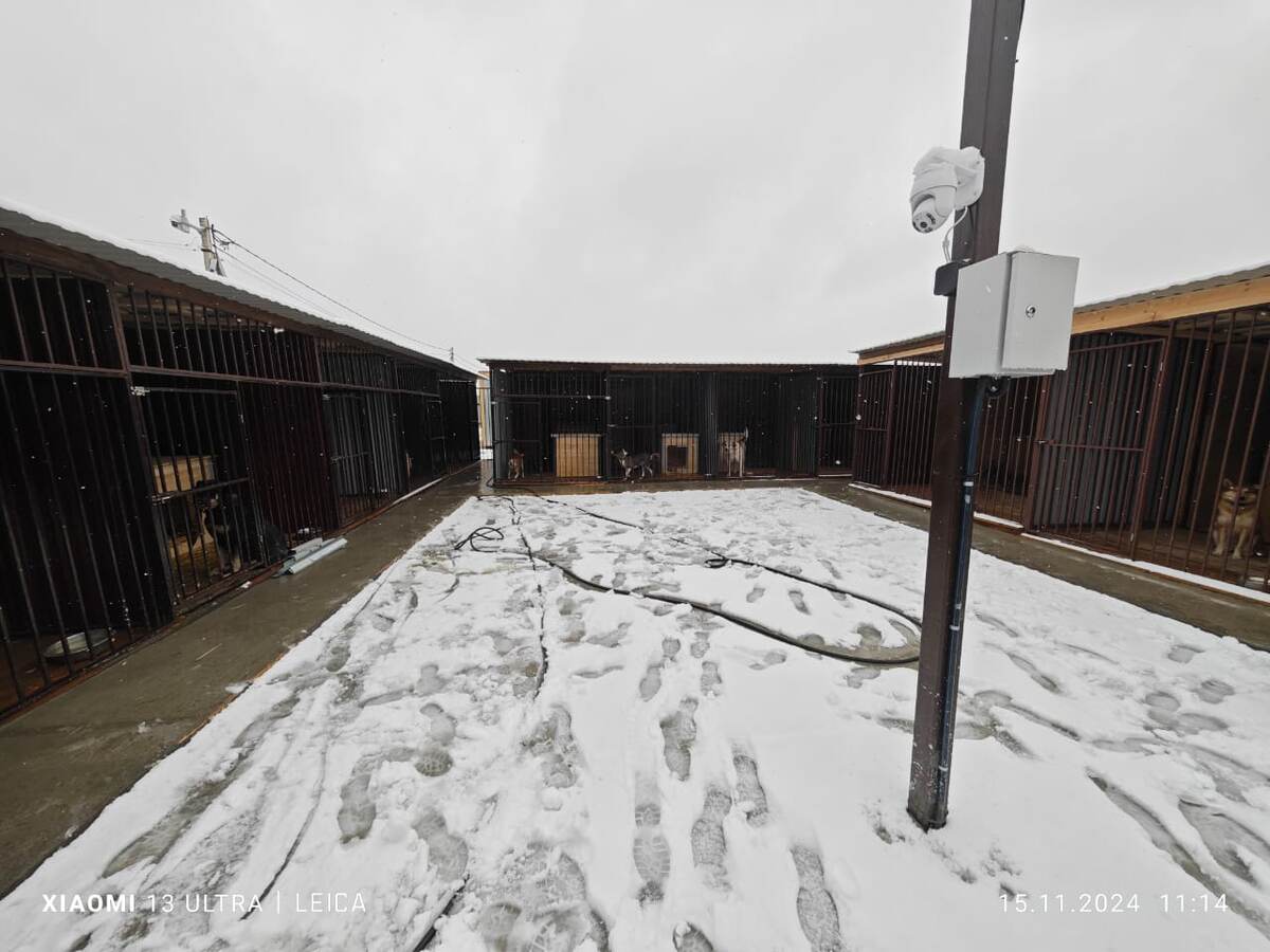 Зоогостиница 