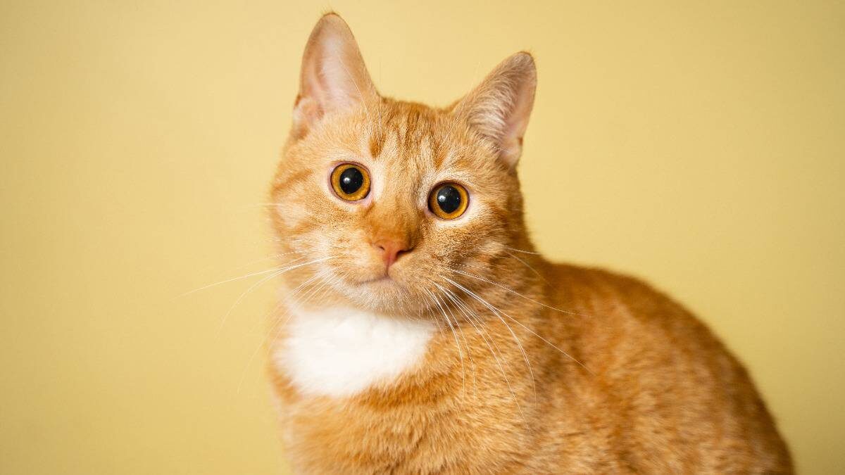    Фото: Shutterstock